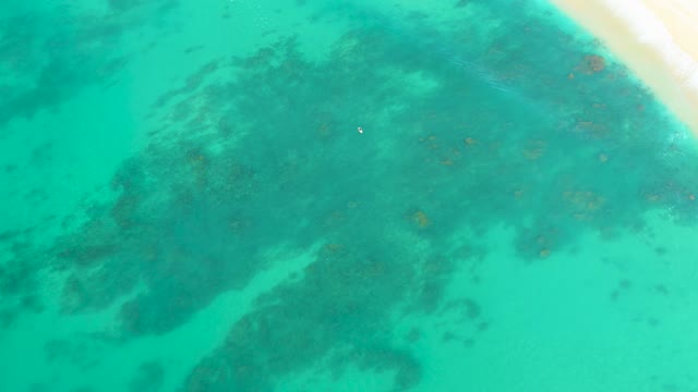 SHIPWRECKS LOS CABOS BCS MEXICO-2021: Shallow Turquoise Water with Moving White Object Near Beach
