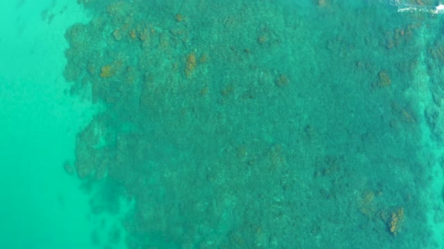 SHIPWRECKS LOS CABOS BCS MEXICO-2021: Coral Reef in Shallow Turquoise Ocean Water