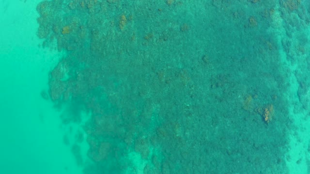 SHIPWRECKS LOS CABOS BCS MEXICO-2021: Coral Reefs in Shallow Turquoise Ocean Waters