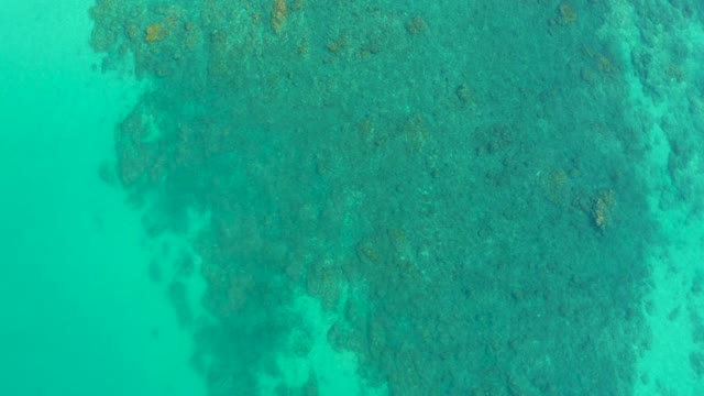 SHIPWRECKS LOS CABOS BCS MEXICO-2021: Coral Reef and Fish in Turquoise Ocean Water