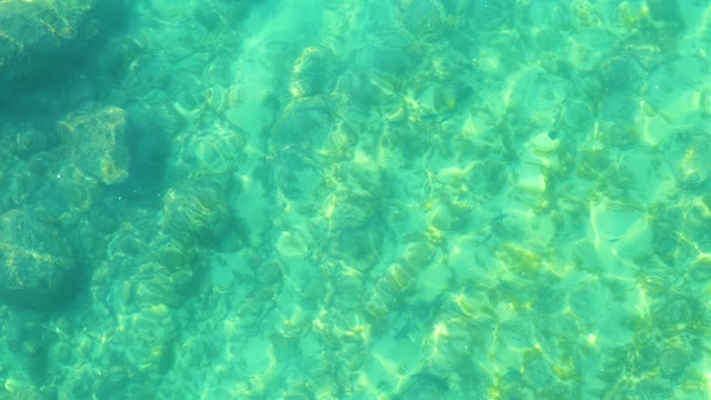 SHIPWRECKS LOS CABOS BCS MEXICO-2021: Gentle Ripples on Clear Turquoise Water Surface