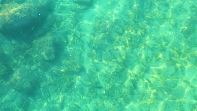 SHIPWRECKS LOS CABOS BCS MEXICO-2021: Clear Turquoise Water with Submerged Rocks