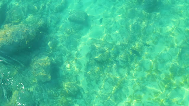 SHIPWRECKS LOS CABOS BCS MEXICO-2021: Clear Turquoise Water Over Rocky Seabed