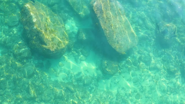 SHIPWRECKS LOS CABOS BCS MEXICO-2021: Clear Underwater Scene with Rocks and Small Fish Swimming