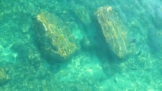 SHIPWRECKS LOS CABOS BCS MEXICO-2021: Clear Water Over Rocky Seabed with Small Fish