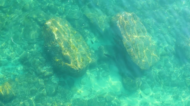 SHIPWRECKS LOS CABOS BCS MEXICO-2021: Clear Shallow Water Over Rocks with Algae