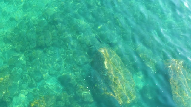 SHIPWRECKS LOS CABOS BCS MEXICO-2021: Small Fish Swimming in Clear Shallow Water Over Rocks