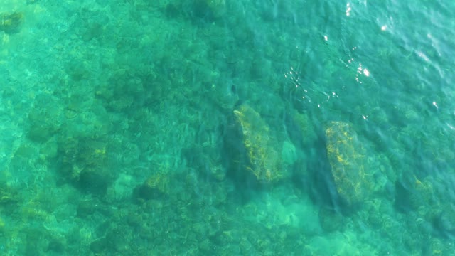 SHIPWRECKS LOS CABOS BCS MEXICO-2021: Underwater Scene of Rocky Seabed and Swimming Fish