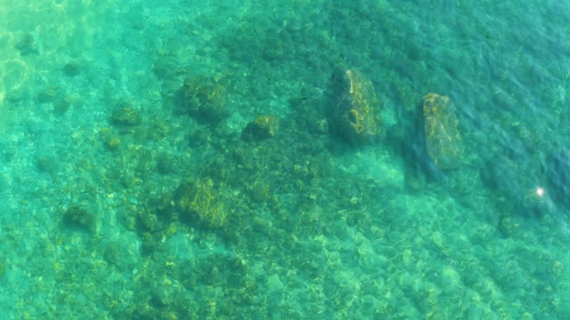 SHIPWRECKS LOS CABOS BCS MEXICO-2021: Underwater View of Rocky Seabed with Clear Turquoise Water