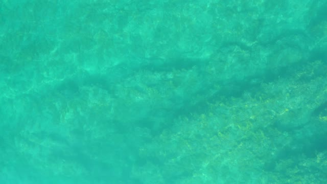SHIPWRECKS LOS CABOS BCS MEXICO-2021: Clear Turquoise Water with Gentle Ripples Over Sandy Seabed