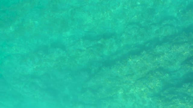SHIPWRECKS LOS CABOS BCS MEXICO-2021: Clear Turquoise Water with Gentle Ripples