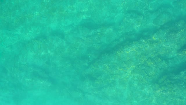 SHIPWRECKS LOS CABOS BCS MEXICO-2021: Gentle Ripples on Clear Turquoise Ocean Water
