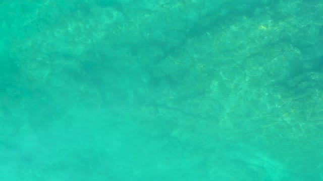 SHIPWRECKS LOS CABOS BCS MEXICO-2021: Small Fish Swimming in Clear Turquoise Water