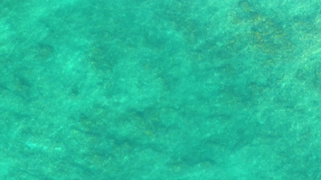 SHIPWRECKS LOS CABOS BCS MEXICO-2021: Gentle Ripples on Shallow Ocean Floor