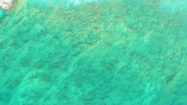 SHIPWRECKS LOS CABOS BCS MEXICO-2021: Shallow Ocean Water with Visible Coral Formations