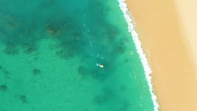 SHIPWRECKS LOS CABOS BCS MEXICO-2021: Swimmers Floating in Clear Turquoise Ocean Water by Sandy Shore