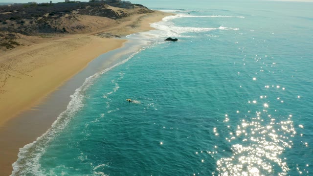 SHIPWRECKS LOS CABOS BCS MEXICO-2021: Surfer Paddling in Turquoise Ocean near Sandy Shore