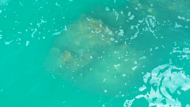 MARQUIS LOS CABOS MEXICO-2021: Jellyfish Floating in Clear Turquoise Water