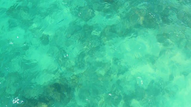 MARQUIS LOS CABOS MEXICO-2021: Rippling Clear Water Over Rocky Seabed
