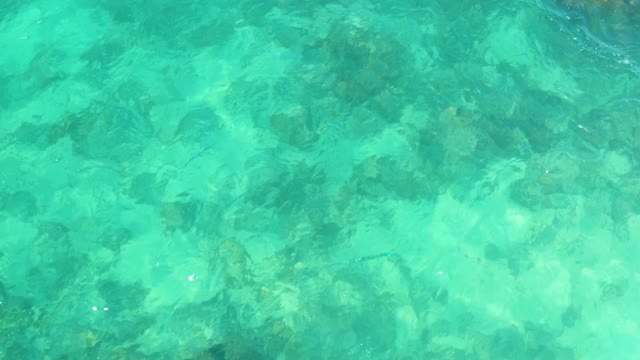MARQUIS LOS CABOS MEXICO-2021: Clear Turquoise Water Over Rocky Seabed