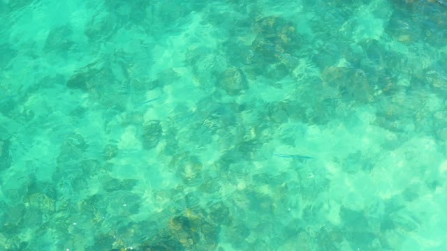 MARQUIS LOS CABOS MEXICO-2021: Clear Turquoise Water Over Rocky Seabed