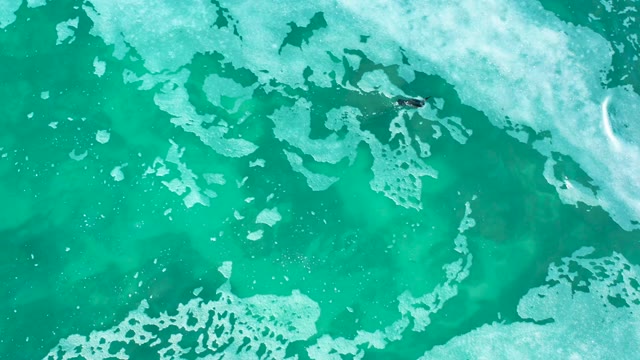 MARQUIS LOS CABOS MEXICO-2021: Surfer Moving Through Turquoise Ocean Waves