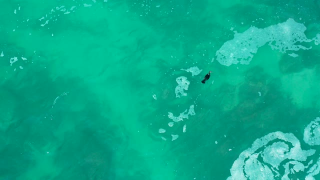 MARQUIS LOS CABOS MEXICO-2021: Swimmer Moving Through Clear Turquoise Ocean Water