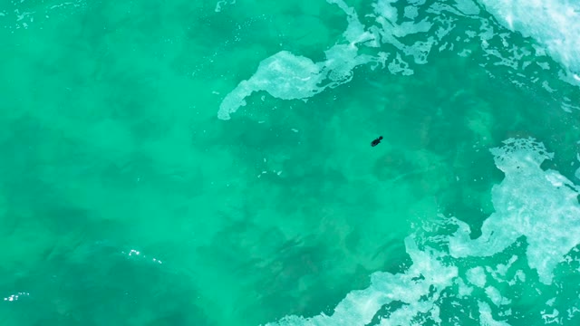 MARQUIS LOS CABOS MEXICO-2021: A Person Floating in Clear Turquoise Ocean Water