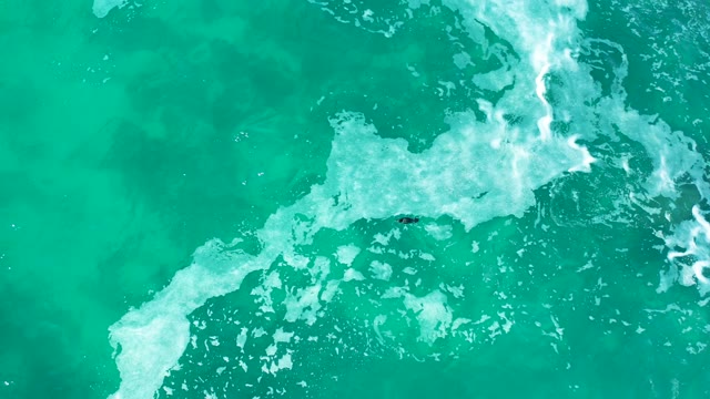 MARQUIS LOS CABOS MEXICO-2021: Surfer Navigating Turquoise Ocean Waves Overhead