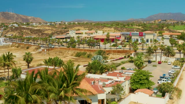 CAMPESTRE SAN JOSE DEL CABO BCS MEXICO-2021: Commercial Area Development with Palm Trees