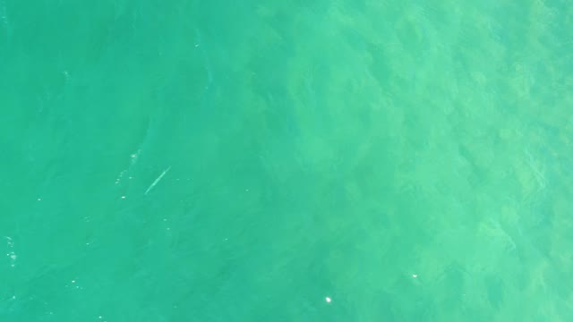CAMPESTRE SAN JOSE DEL CABO BCS MEXICO-2021: Shallow Turquoise Water with Gentle Ripples