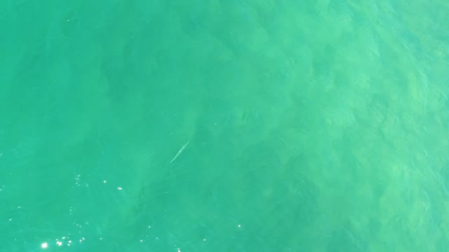 CAMPESTRE SAN JOSE DEL CABO BCS MEXICO-2021: Clear Turquoise Water With Small Fish Swimming