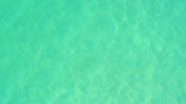 CAMPESTRE SAN JOSE DEL CABO BCS MEXICO-2021: Clear Turquoise Water with Gentle Ripples and Small Fish
