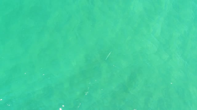 CAMPESTRE SAN JOSE DEL CABO BCS MEXICO-2021: Shallow Turquoise Water with Gentle Ripples