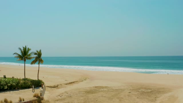 CAMPESTRE SAN JOSE DEL CABO BCS MEXICO-2021: Panning View of Beach with Palm Trees and Ocean
