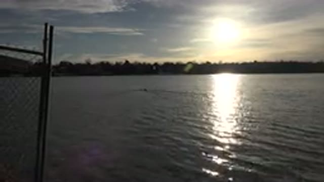 WESTMINSTER COLORADO-2015: The Sun Is Out And Setting On A Natural Body Of Water