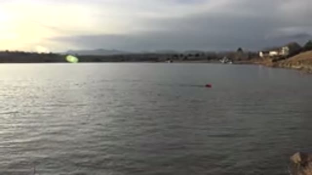 WESTMINSTER COLORADO-2015: Something Orange or Red Floating Down a River