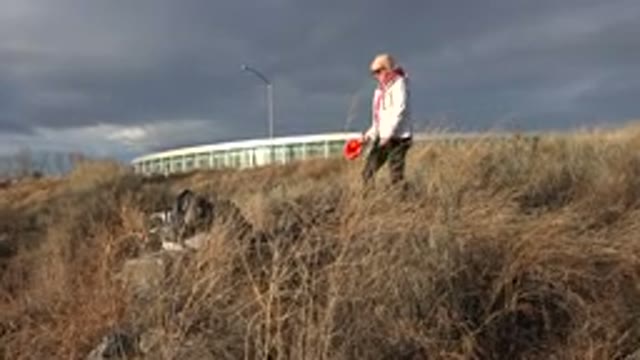 WESTMINSTER COLORADO-2015: Dog Playing With Its Owner With A Ball Inside A Lake