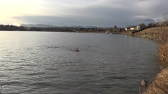 M03-20-0070-02-03-15-2015-westminster-colorado-C0038_1-mp4frpm-mp4-test_0003.mp4