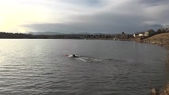 M03-20-0073-02-03-15-2015-westminster-colorado-C0038_2_0002.mp4