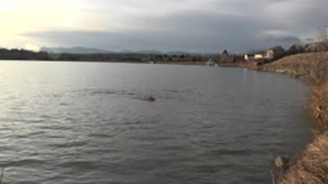 M03-20-0074-02-03-15-2015-westminster-colorado-C0038_2_0003.mp4