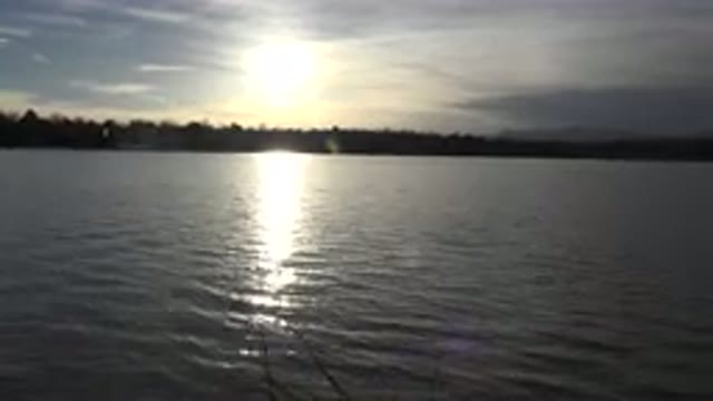 WESTMINSTER COLORADO-2015: Black Dog Retrieves Red Object Thrown In Water By Off