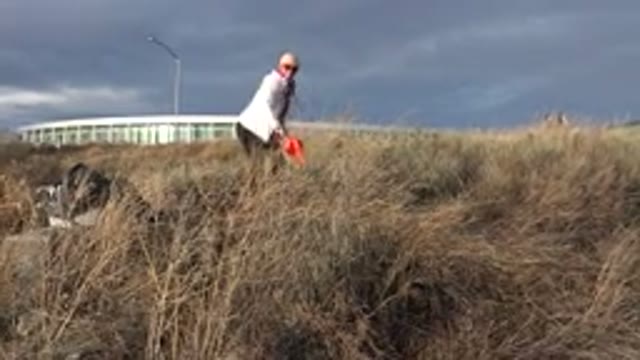 WESTMINSTER COLORADO-2015: Woman Dog Outdoors Brush Roaming