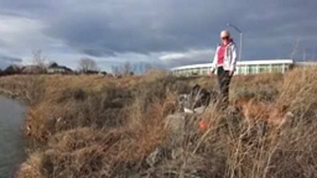 WESTMINSTER COLORADO-2015: Morning Dog Walk Along The Windy And Grassy River