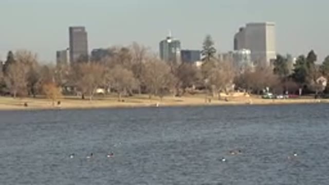 WESTMINSTER COLORADO-2015: Tan City Buildings And Ducks Swimming Blue Lake On A