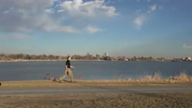 WESTMINSTER COLORADO-2015: Two People Walking on Road with Man and Dog