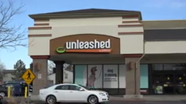WESTMINSTER COLORADO-2015: White Car Driving Past A Store That Is Part Of A Strip Mall