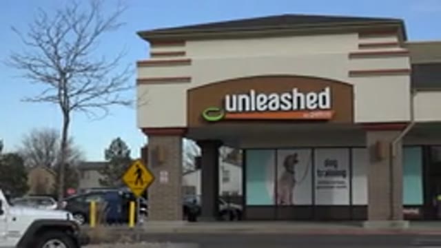 WESTMINSTER COLORADO-2015: Unleashed Dog Training At Strip-Mall