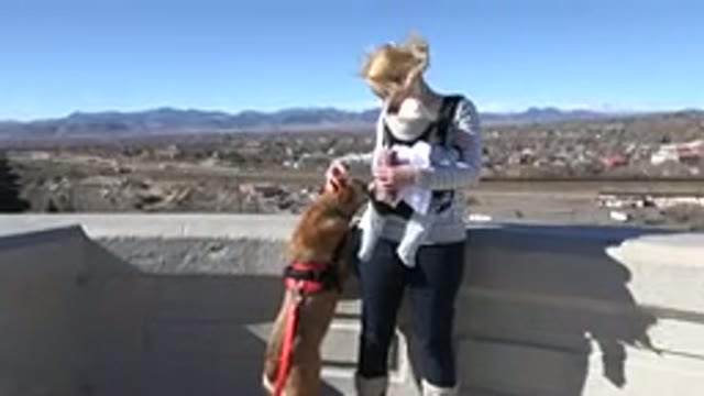 WESTMINSTER COLORADO-2015: Woman Holding Baby In A Carrier And Petting A Small Dog
