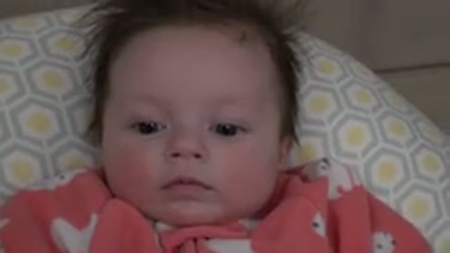 WESTMINSTER COLORADO-2015: Baby Laying Down and Staring Into the Camera